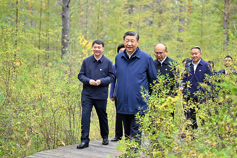 9月6日至8日，中共中央总书记、国家主席、中央军委主席习近平在黑龙江考察。这是6日下午，习近平在大兴安岭地区漠河市漠河林场自然林区考察