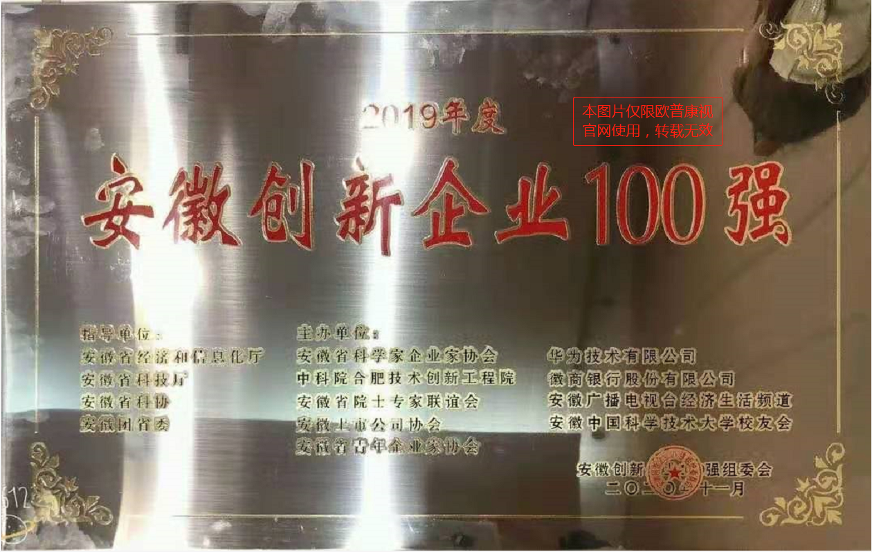 安徽立异企业100强