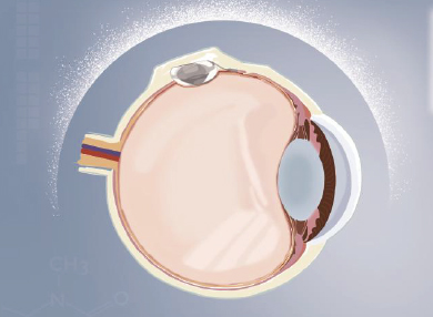 仲博·cbin99(中国)官方网站