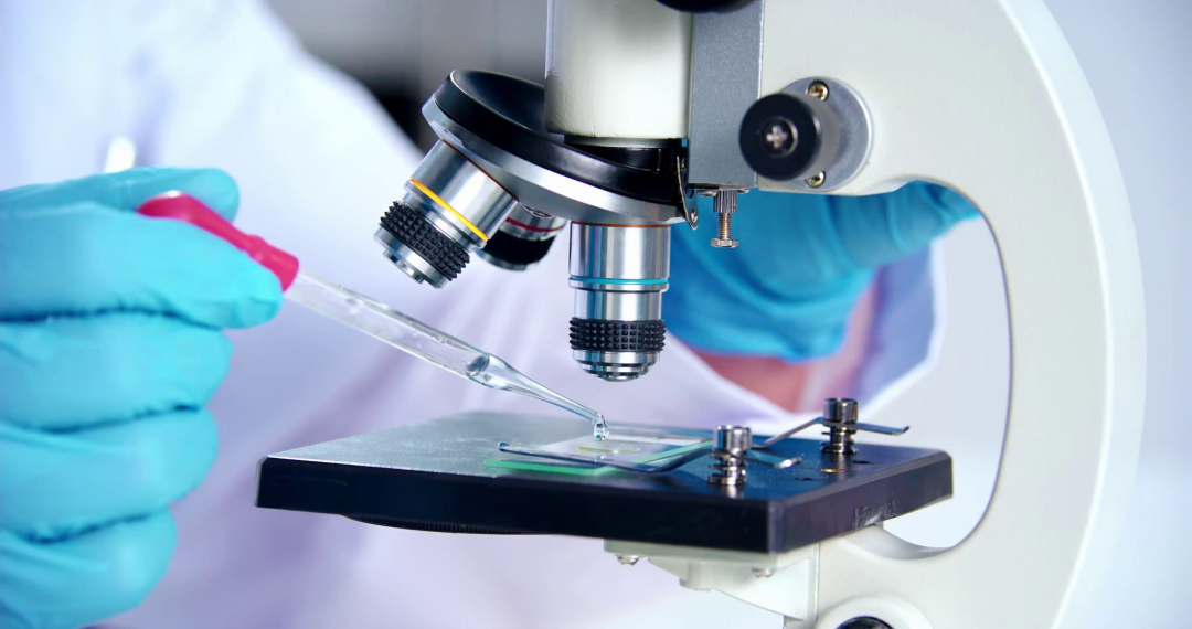 仲博·cbin99(中国)官方网站